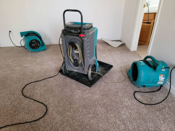 Best Water damage restoration company  in Belmont, WI