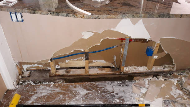 Best Flooded house restoration  in Belmont, WI