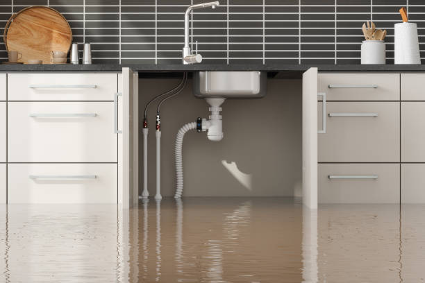 Best Water damage cleanup near me  in Belmont, WI
