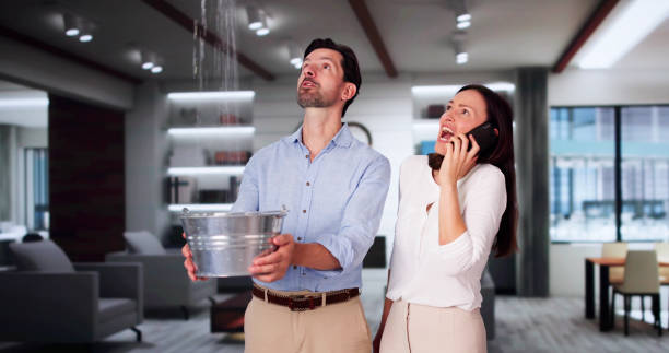 Best Fire Damage Restoration  in Belmont, WI